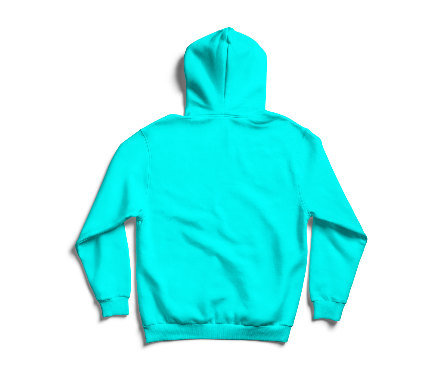 Hoodie  SkyBlue Worldwide